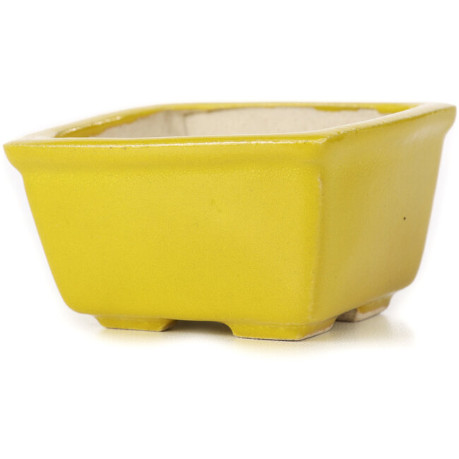 Vierkante gele bonsaipot van Seto - 85 x 85 x 50 mm