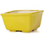 Pot à bonsaï carré jaune par Seto - 85 x 85 x 50 mm