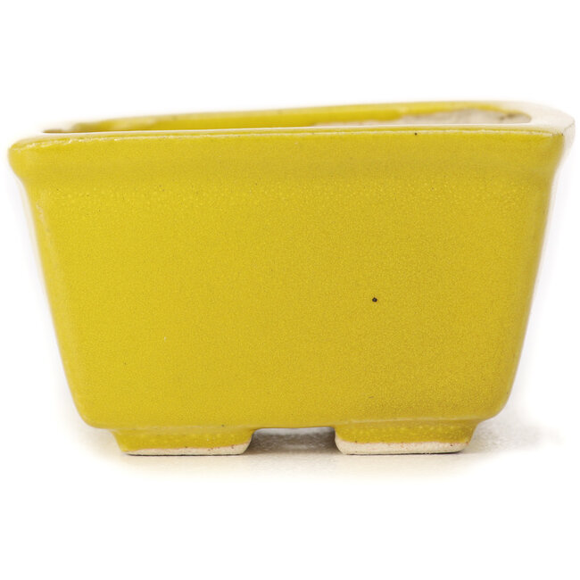 Vaso bonsai quadrato giallo di Seto - 85 x 85 x 50 mm