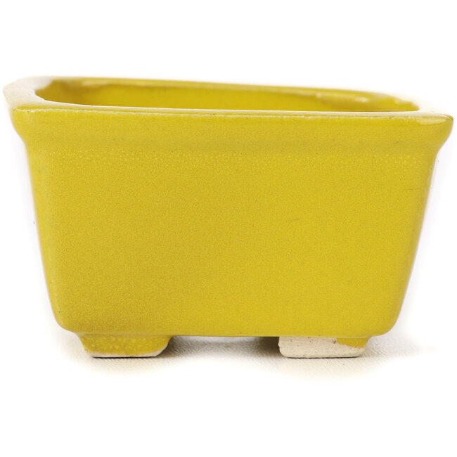 Square yellow bonsai pot by Seto - 85 x 85 x 50 mm