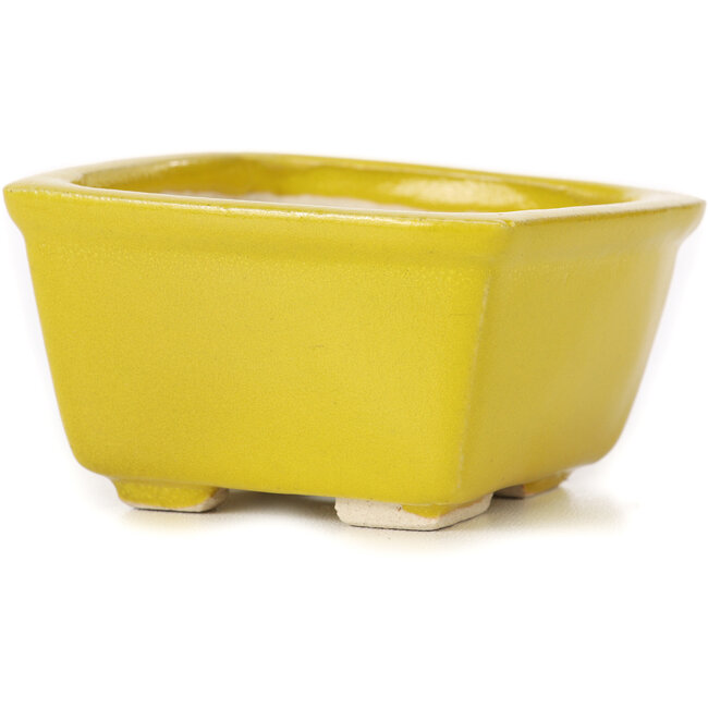 Pot à bonsaï carré jaune par Seto - 85 x 85 x 50 mm