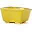 Pot à bonsaï carré jaune par Seto - 85 x 85 x 50 mm