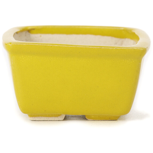 Vaso bonsai quadrato giallo di Seto - 85 x 85 x 50 mm