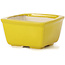 Pot à bonsaï carré jaune par Seto - 85 x 85 x 50 mm