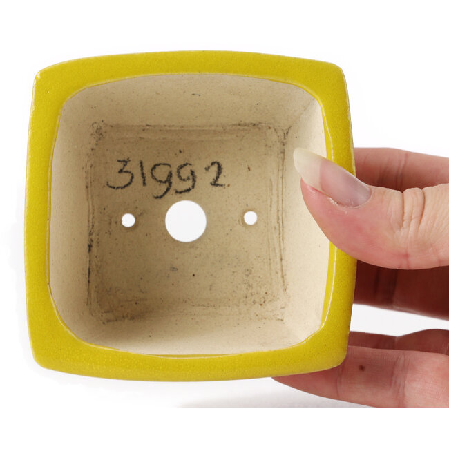 Vaso bonsai quadrato giallo di Seto - 85 x 85 x 50 mm