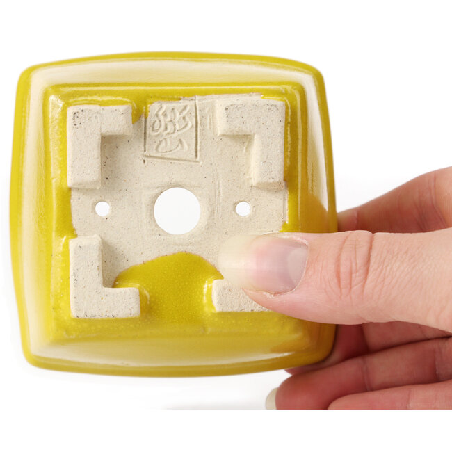 Quadratische gelbe Bonsaischale von Seto - 85 x 85 x 50 mm