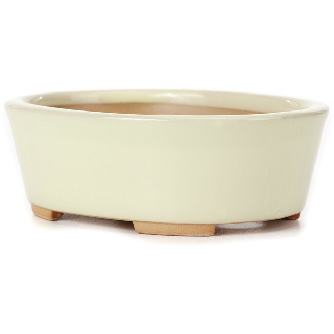 Pot à bonsaï blanc ovale par Bunzan (Seto) - 130 x 100 x 45 mm