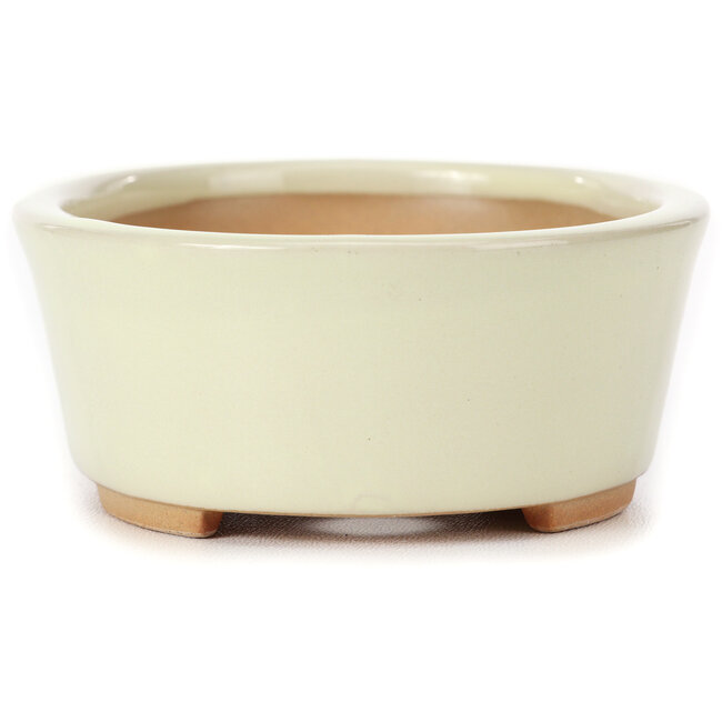 Vaso bonsai ovale bianco di Bunzan (Seto) - 130 x 100 x 45 mm