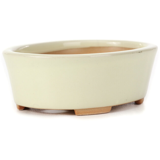 Pot à bonsaï blanc ovale par Bunzan (Seto) - 130 x 100 x 45 mm