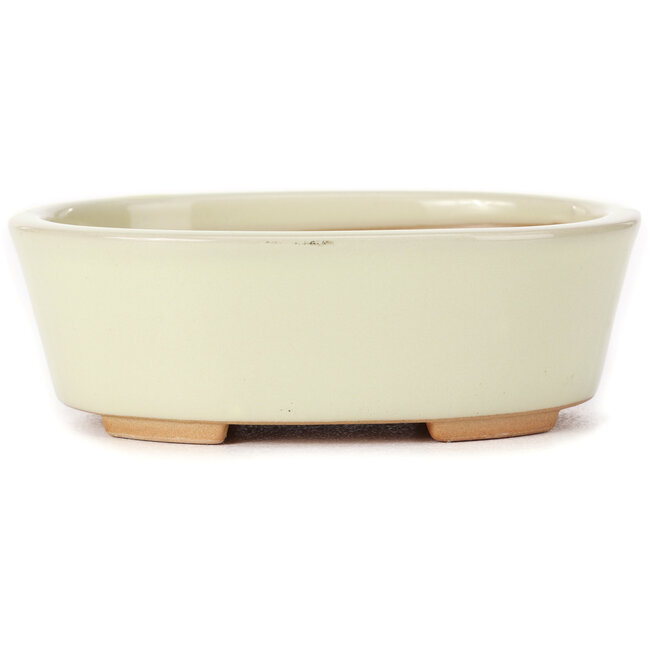 Maceta de bonsái blanca ovalada de Bunzan (Seto) - 130 x 100 x 45 mm