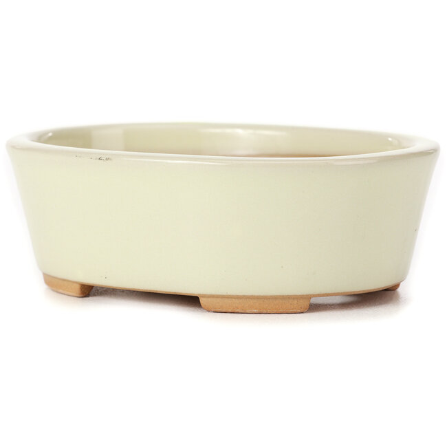 Maceta de bonsái blanca ovalada de Bunzan (Seto) - 130 x 100 x 45 mm