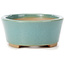 Vaso bonsai ovale blu di Bunzan (Seto) - 130 x 100 x 45 mm