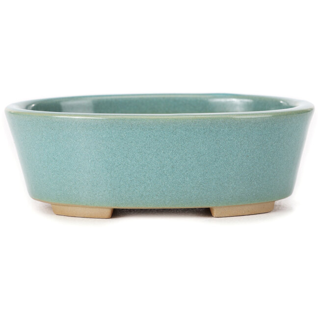 Ovale blauwe bonsaipot van Bunzan (Seto) - 130 x 100 x 45 mm