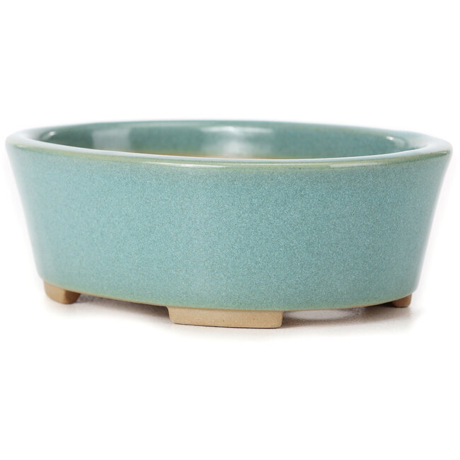 Vaso bonsai ovale blu di Bunzan (Seto) - 130 x 100 x 45 mm