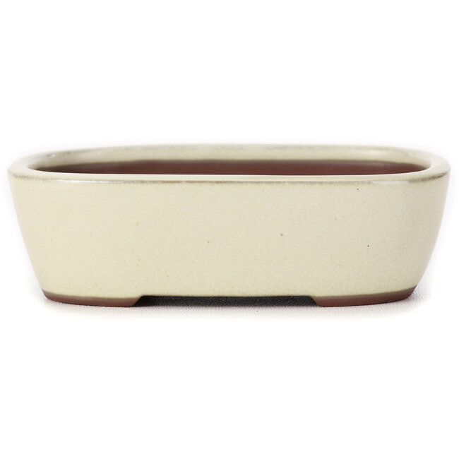 Maceta de bonsái blanca rectangular de Bunzan (Seto) - 115 x 85 x 35 mm