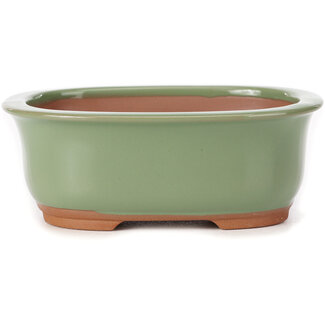  Bunzan 130 mm rectangular green bonsai pot by Bunzan (Seto), Seto, Japan