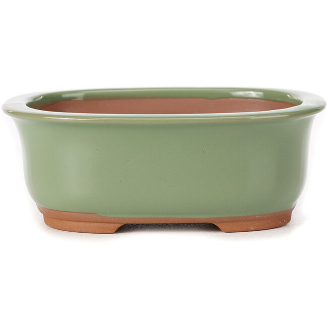 Rectangular green bonsai pot by Bunzan (Seto) - 130 x 105 x 50 mm