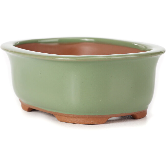 Rechthoekige groene bonsaipot van Bunzan (Seto) - 130 x 105 x 50 mm