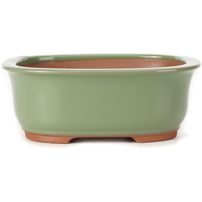 Pot à bonsaï vert rectangulaire par Bunzan (Seto) - 130 x 105 x 50 mm