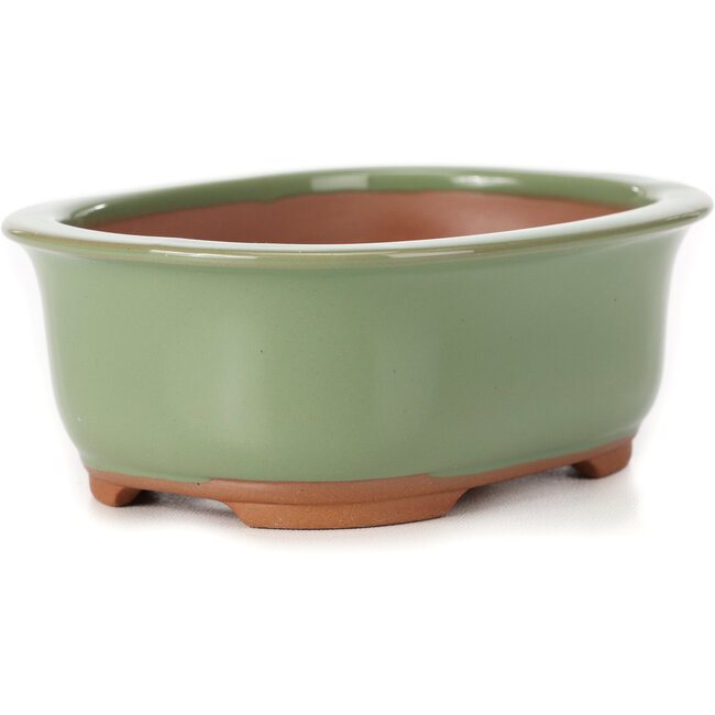 Rectangular green bonsai pot by Bunzan (Seto) - 130 x 105 x 50 mm
