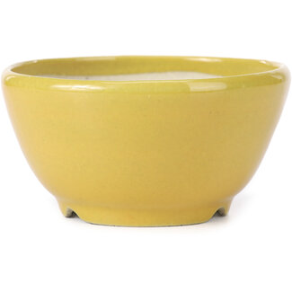 Koyo - Koichirou Aiba  115 mm round yellow bonsai pot by Koyou, Tokoname, Japan