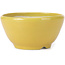 Round yellow bonsai pot by Koyou - 115 x 115 x 60 mm