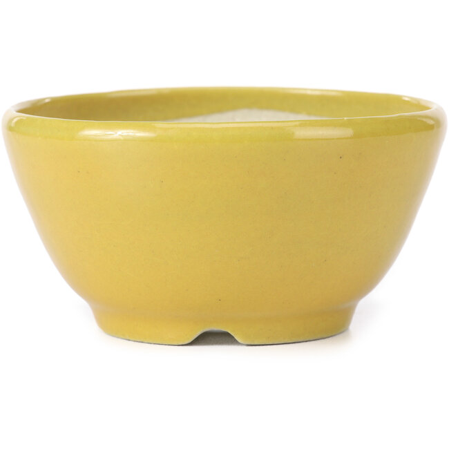 Pot à bonsaï rond jaune par Koyou - 115 x 115 x 60 mm