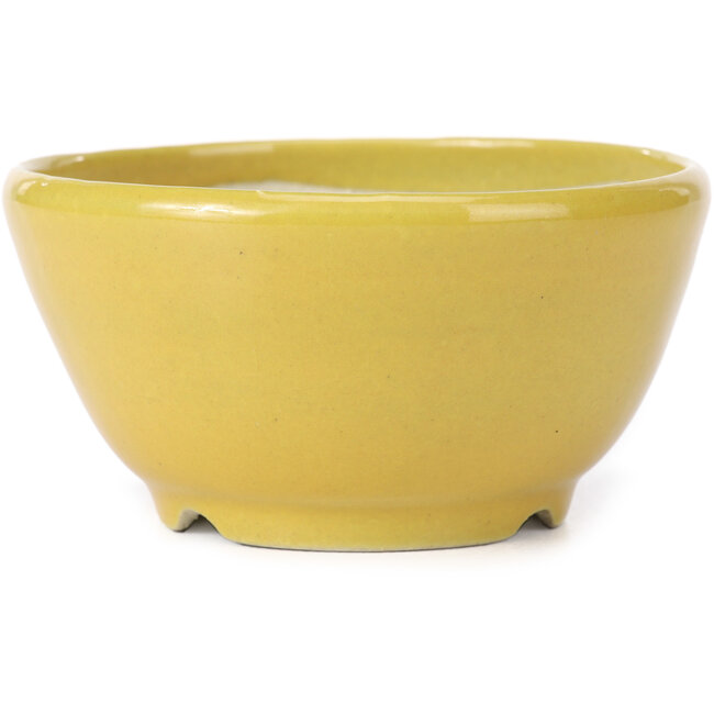 Vaso bonsai rotondo giallo di Koyou - 115 x 115 x 60 mm