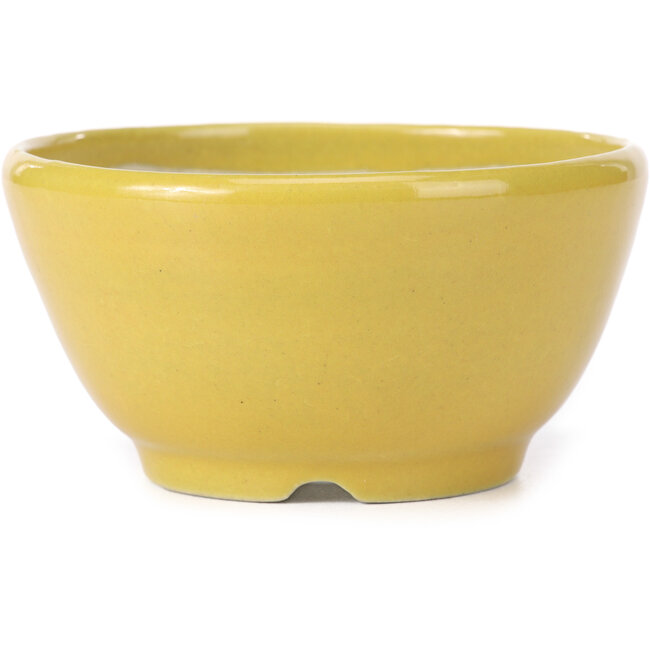 Vaso bonsai rotondo giallo di Koyou - 115 x 115 x 60 mm