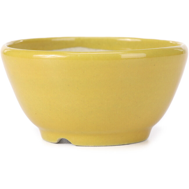Vaso bonsai rotondo giallo di Koyou - 115 x 115 x 60 mm