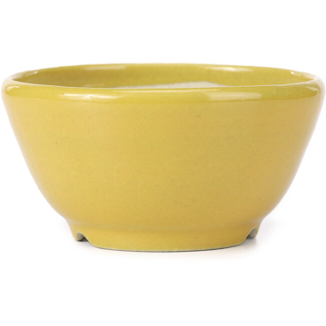 Round yellow bonsai pot by Koyou - 115 x 115 x 60 mm