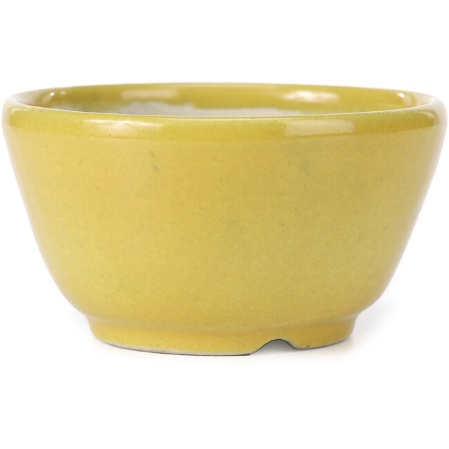 Ronde gele bonsaipot van Koyou - 115 x 115 x 60 mm