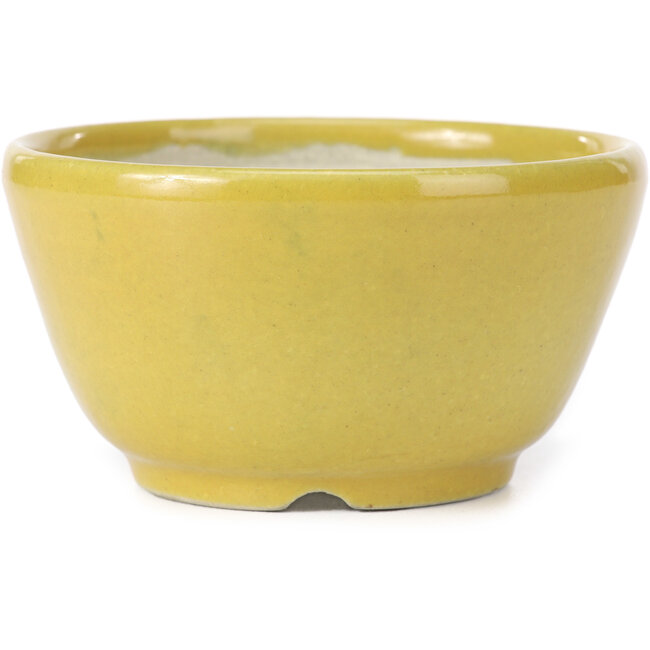 Ronde gele bonsaipot van Koyou - 115 x 115 x 60 mm