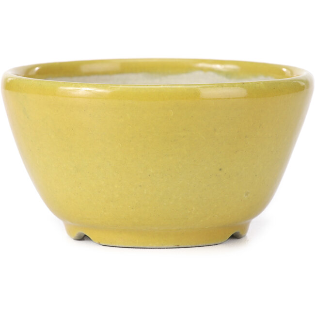 Pot à bonsaï rond jaune par Koyou - 115 x 115 x 60 mm