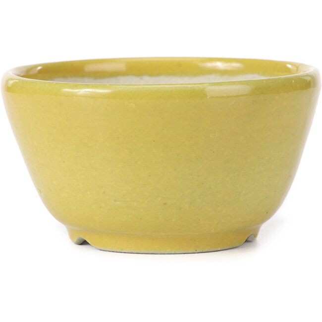 Vaso bonsai rotondo giallo di Koyou - 115 x 115 x 60 mm
