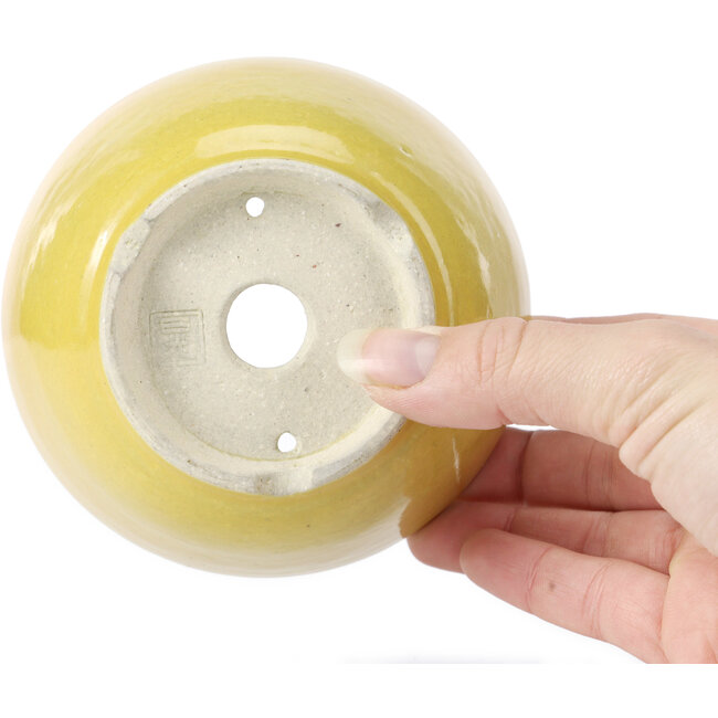 Maceta de bonsái redonda amarilla de Koyou - 115 x 115 x 60 mm