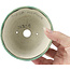 Pot à bonsaï rond vert par Koyou - 115 x 115 x 60 mm