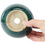 Runde grüne Bonsaischale von Koyou - 110 x 110 x 60 mm