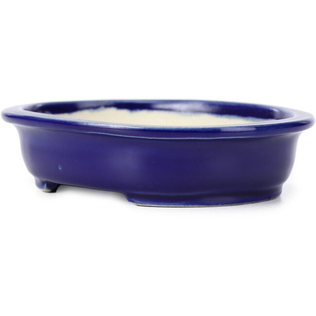 Pot à bonsaï ovale bleu par Kakuzan - 135 x 115 x 30 mm