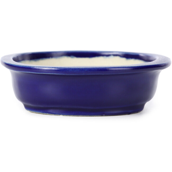 Vaso bonsai ovale blu di Kakuzan - 135 x 115 x 30 mm