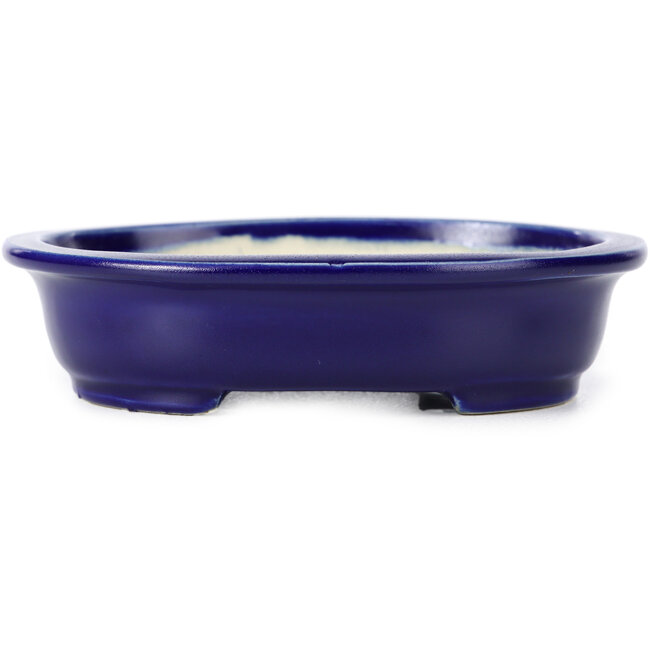 Pot à bonsaï ovale bleu par Kakuzan - 135 x 115 x 30 mm