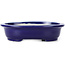 Maceta de bonsái azul ovalada de Kakuzan - 135 x 115 x 30 mm