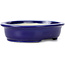 Maceta de bonsái azul ovalada de Kakuzan - 135 x 115 x 30 mm