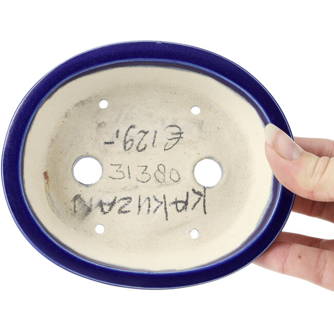 Oval blue bonsai pot by Kakuzan - 135 x 115 x 30 mm