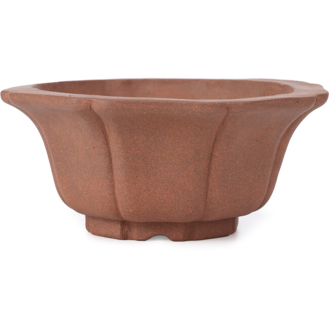 Octagonal lotus shape unglazed bonsai pot by Kakuzan - 160 x 160 x 80 mm