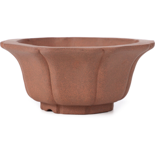 Octagonal lotus shape unglazed bonsai pot by Kakuzan - 160 x 160 x 80 mm