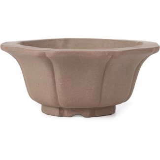 Maceta de bonsái sin esmaltar con forma de loto octogonal de 160 mm de Kakuzan, Tokoname, Japón