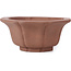 Pot à bonsaï octogonal en forme de lotus non émaillé par Kakuzan - 160 x 160 x 80 mm