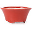 Round red bonsai pot by Seifu - 70 x 70 x 35 mm