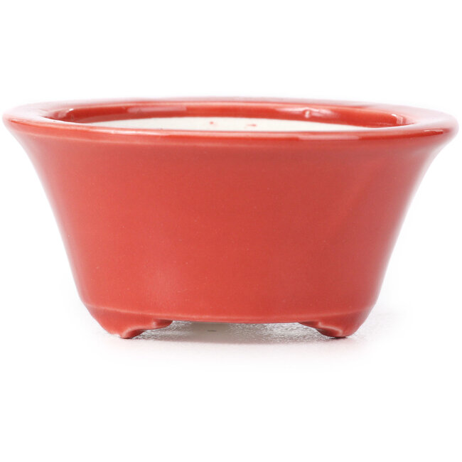 Maceta de bonsái roja redonda de Seifu - 70 x 70 x 35 mm